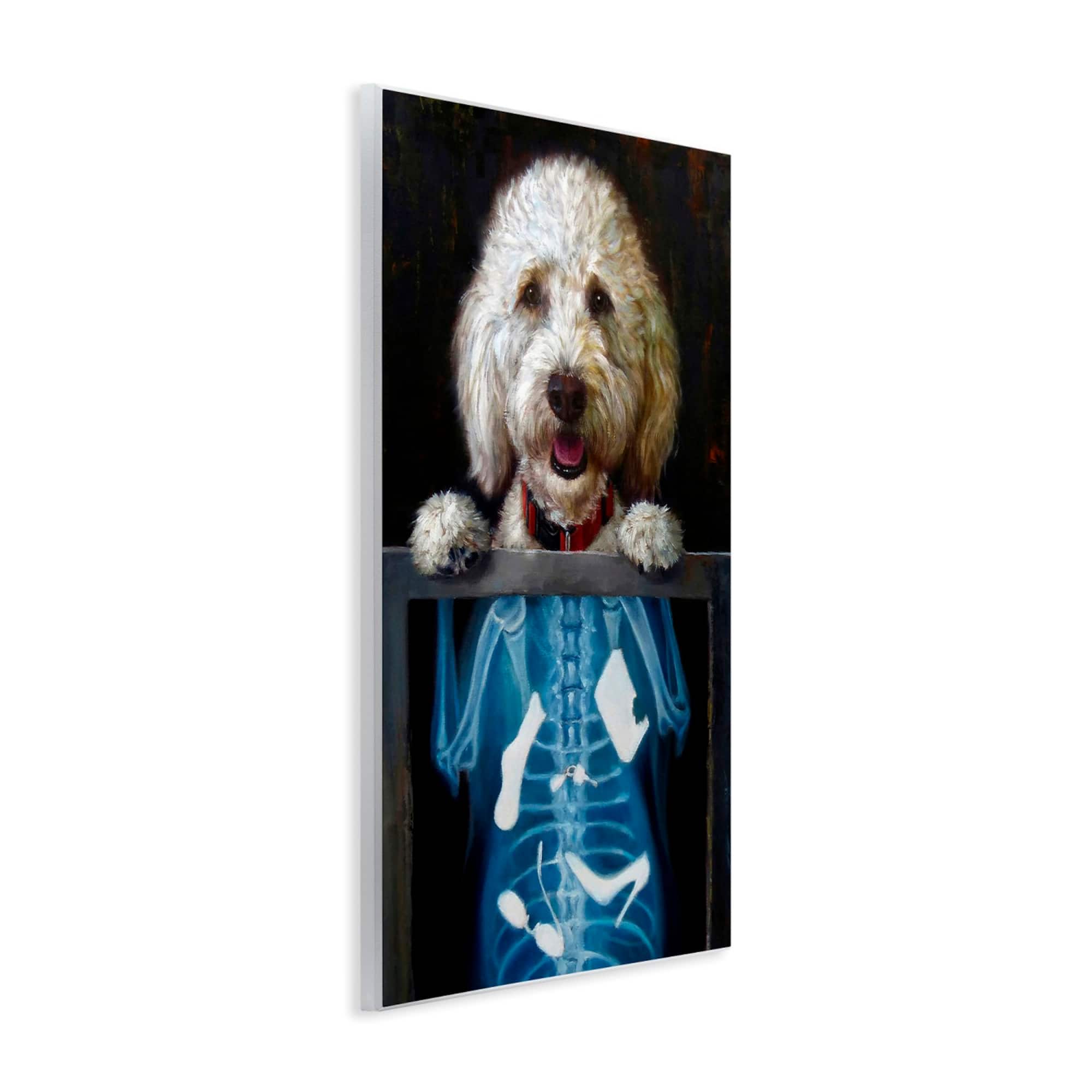 Stupell Industries Funny Dog X-Ray Snacks Wall Plaque Art